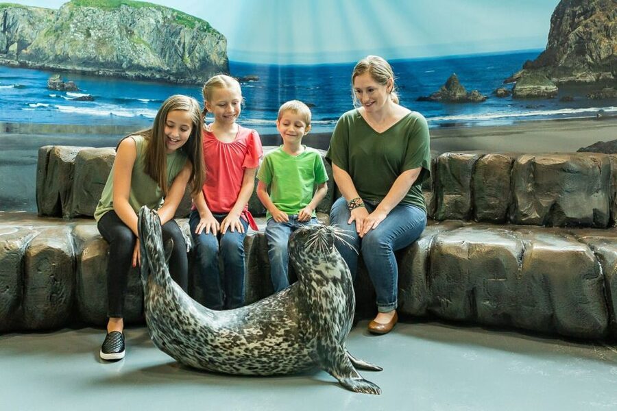 Georgia Aquarium: Sea Lion Encounter - Why the conservation lesson adds value