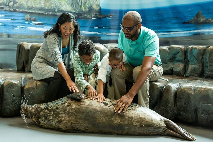 Georgia Aquarium: Sea Lion Encounter - Practical clothing and participation advice