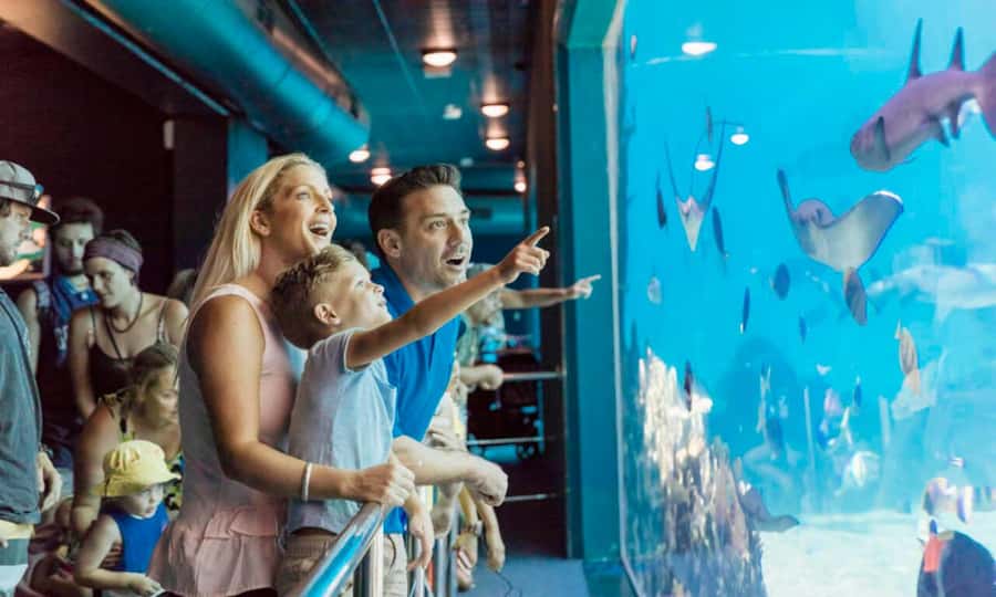 Gold Coast: Jet Boat Ride & Sea World Entry Ticket - Two Gold Coast thrills for $105