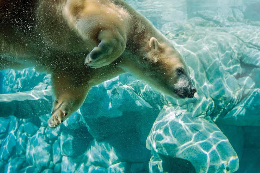 Gold Coast: Movie World, Sea World, Wet'n'Wild 14-Day Pass - What the 14 consecutive days really give you