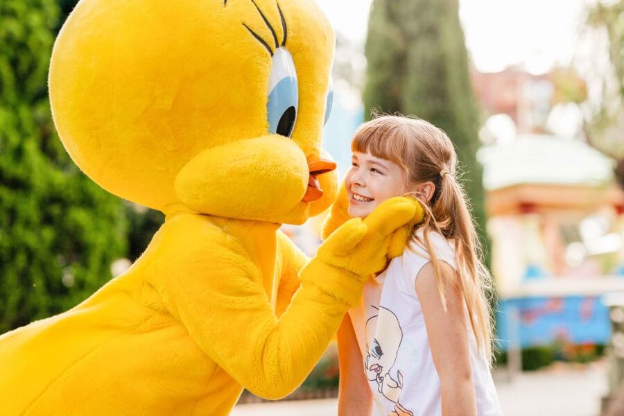 Gold Coast: Movie World, Sea World & Wet'n'Wild 7-Day Pass - What the $140 price includes, and what it does not
