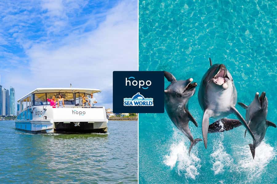 Gold Coast: Sea World Cruise & Entry Combo Ticket - The 50-minute cruise to Sea World