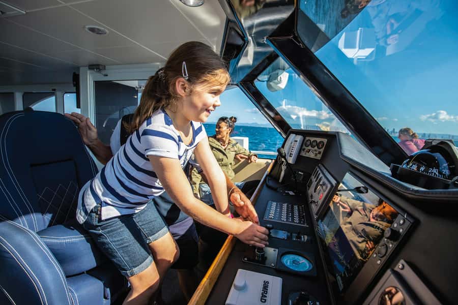 Gold Coast: Whale Watching Cruise & Sea World Entry - What you may see from the boat
