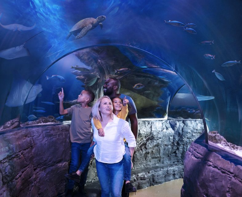 Grapevine: SEA LIFE Grapevine Aquarium General Admission - What the $20 ticket gets you at Grapevine Mills