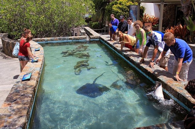 Guided Tour of Coral World Ocean Park & Happy Hour - What the strong feedback tells you