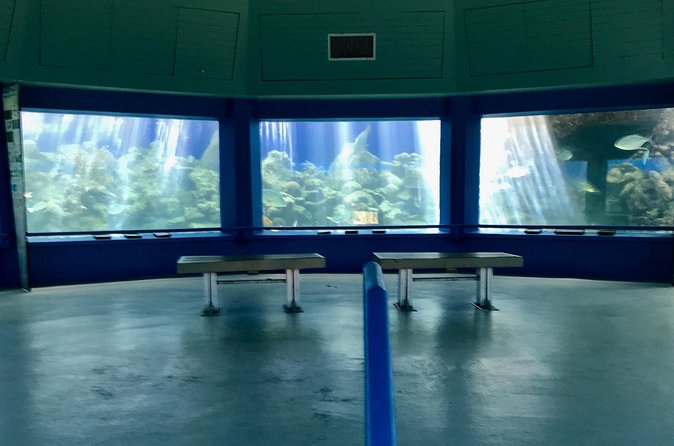 Guided Tour of Coral World Ocean Park & Happy Hour - Who will enjoy this Coral World experience most