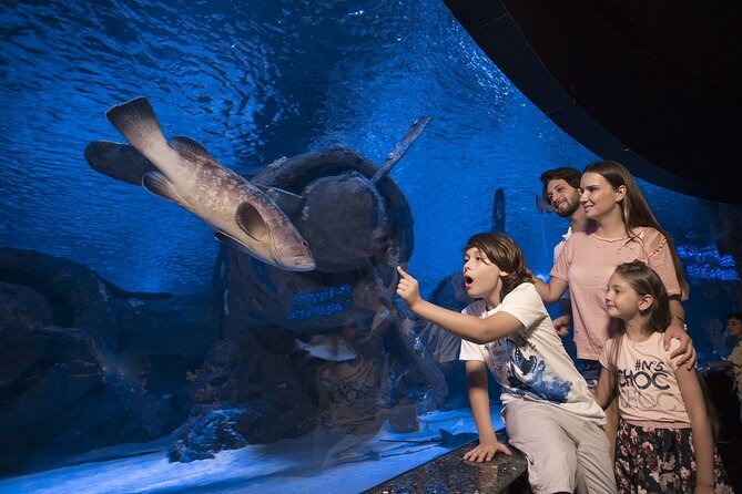 Half Day Antalya Aquarium Tour And Wax Museum - What your four-hour Antalya afternoon looks like