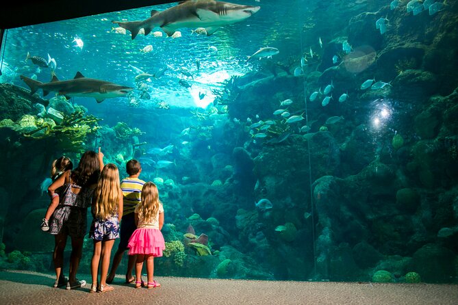 Half Day Antalya Aquarium Tour And Wax Museum - The Face2Face Wax Museum in a separate 30-minute visit