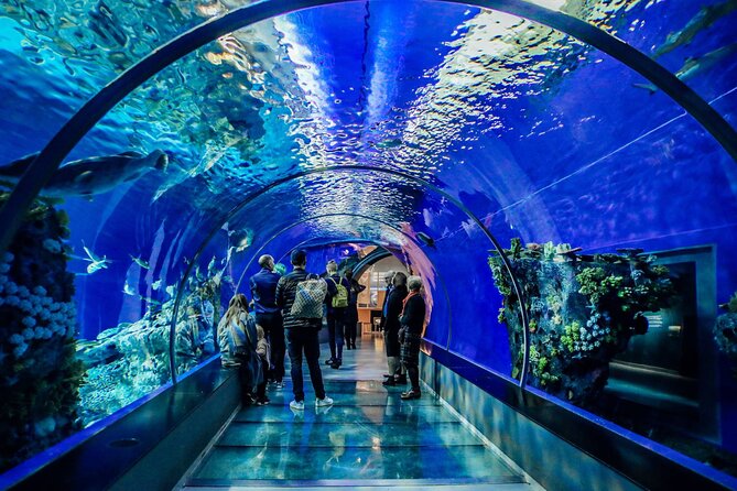 Half Day Antalya Aquarium Tour And Wax Museum - Who will enjoy this half-day trip most?