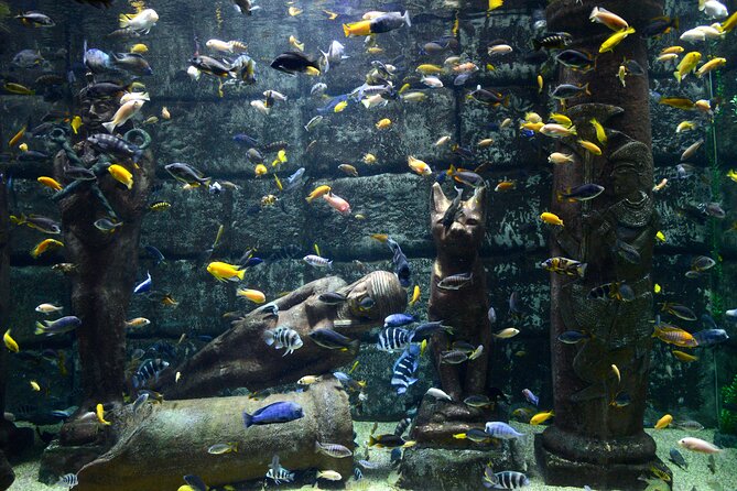 Half Day Antalya Aquarium Tour And Wax Museum - Practical timing tips for a smoother visit