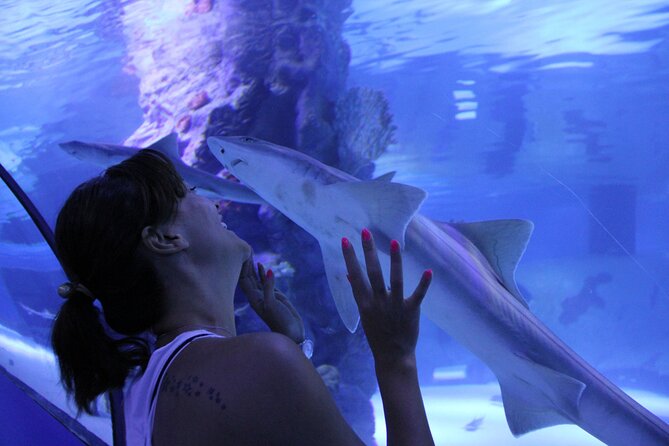 Half Day Antalya Aquarium Tour And Wax Museum - My call: book it for ease, not for a guided lesson