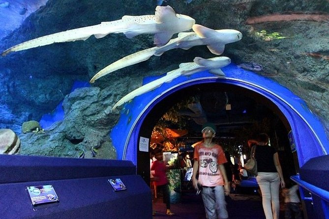 Half day Pattaya Floating Market and Underwater World Pattaya Combo - What two hours at the aquarium really gives you
