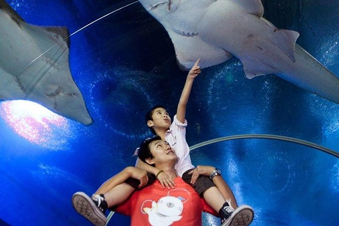 Half day Pattaya Floating Market and Underwater World Pattaya Combo - Booking timing, weather, and cancellation