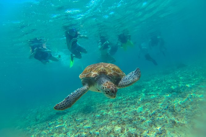 Half-Day Underwater World Tour - How much value do you get for $109?