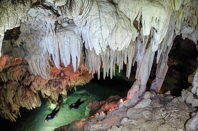 Half-Day Underwater World Tour - Packing advice for the morning