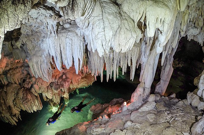 Half-Day Underwater World Tour - Who should book this Cancun cenote and turtle tour?