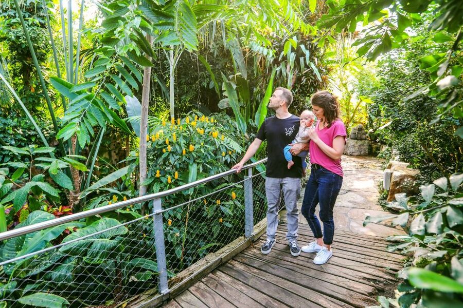 Hanover: SEA LIFE Entry Ticket - Should you book SEA LIFE Hannover?