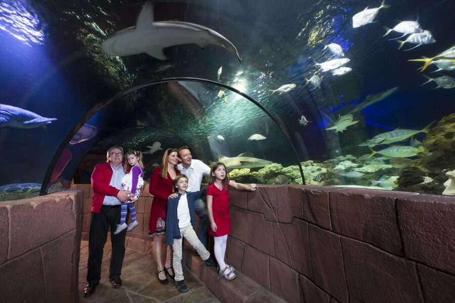 Hanover: SEA LIFE Entry Ticket - How long the visit really takes