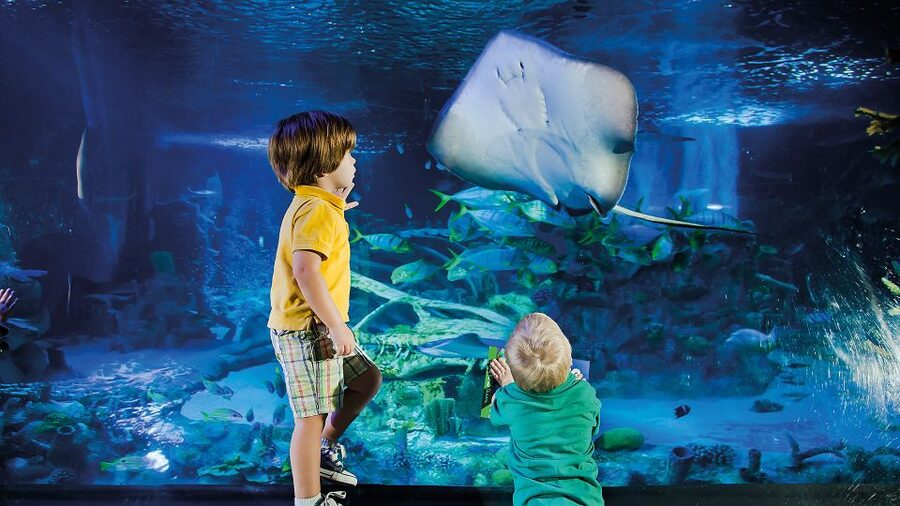Helsinki: Sea Life Entrance Tickets - Starting with the underwater tunnel