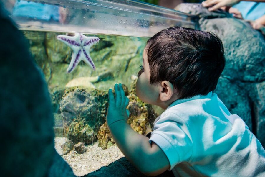 Helsinki: Sea Life Entrance Tickets - What you see across 50 aquariums