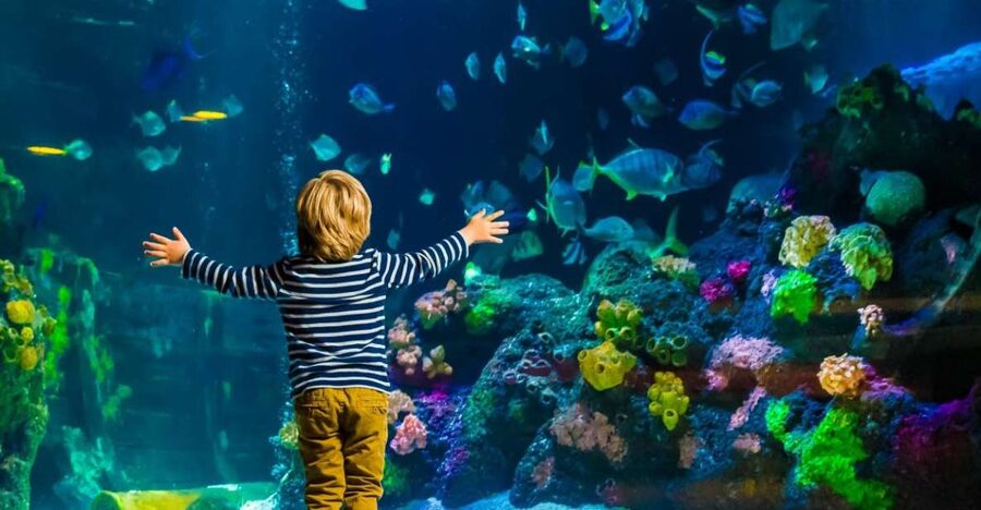 Helsinki: Sea Life Entrance Tickets - Conservation Cove gives the visit a wider purpose