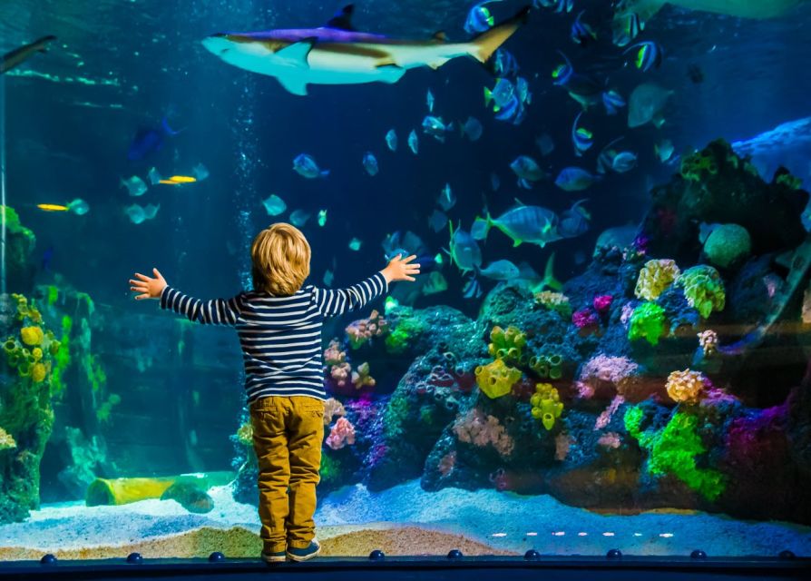 Helsinki: Sea Life Entrance Tickets - Who will enjoy Sea Life Helsinki most?