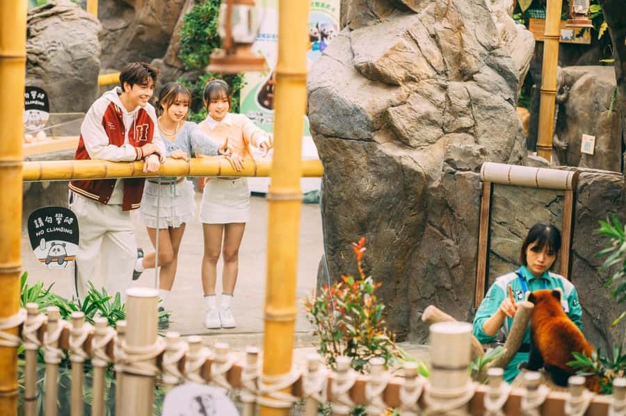 Hong Kong: Ocean Park Entry Ticket - The cable car is the park’s best transition
