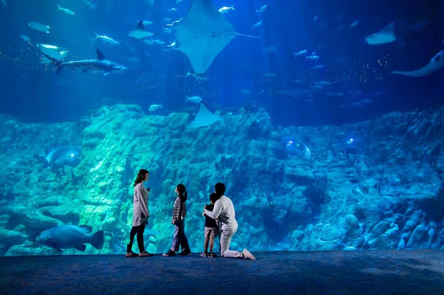 Hong Kong: Ocean Park Entry Ticket - Food options and what the ticket covers