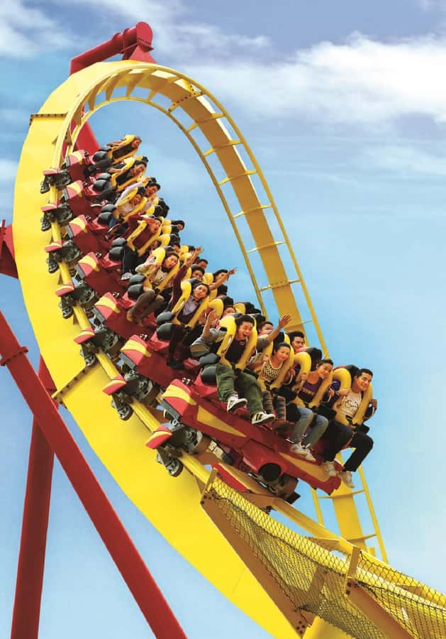 Hong Kong: Ocean Park Entry Ticket + Local Style Set Meal - Starting at Ocean Park Station and the Waterfront
