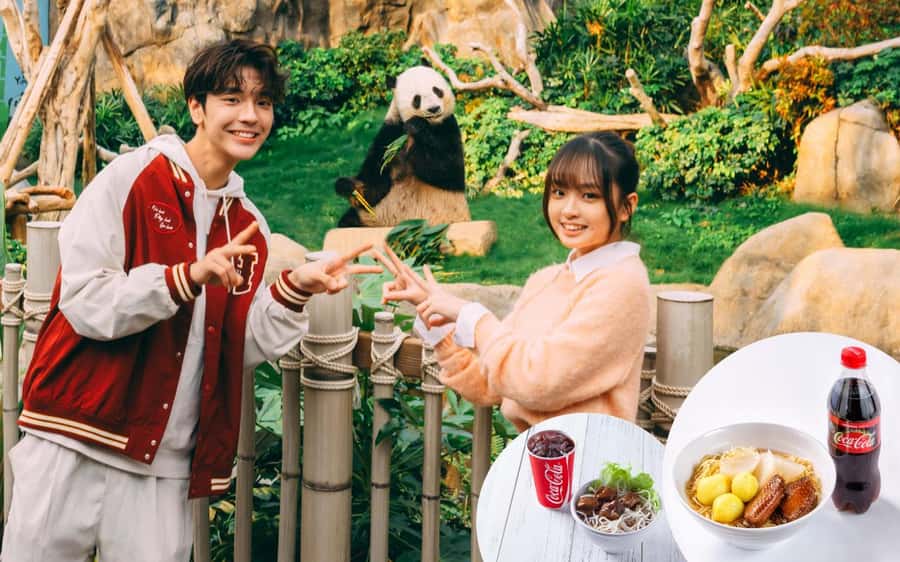 Hong Kong: Ocean Park Entry Ticket + Local Style Set Meal - Taking the cable car to the Summit