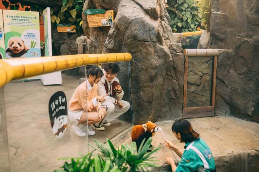 Hong Kong: Ocean Park Entry Ticket + OceanFasTrack Pass - The Waterfront: pandas, aquariums, and Old Hong Kong