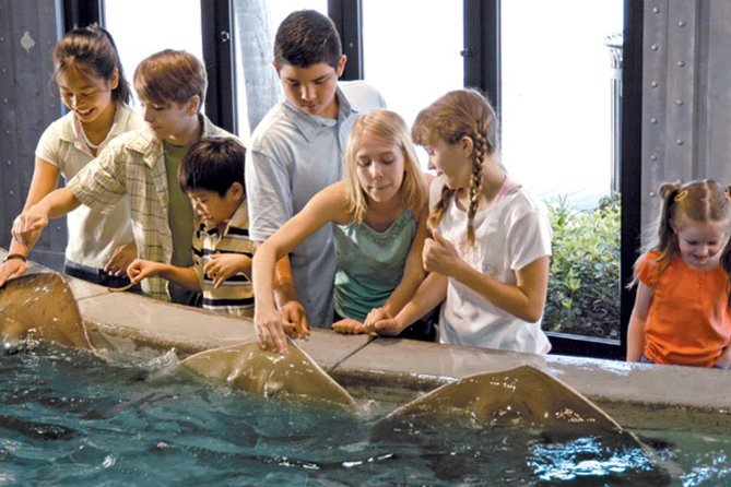Houston City Tour and Downtown Aquarium All Rides Pass - Minute Maid Park and the Rockets’ home