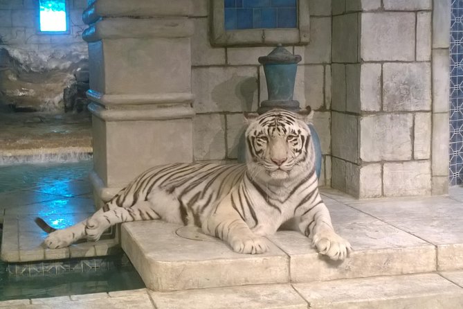 Houston City Tour and Downtown Aquarium All Rides Pass - The 90-minute ride through Downtown Houston
