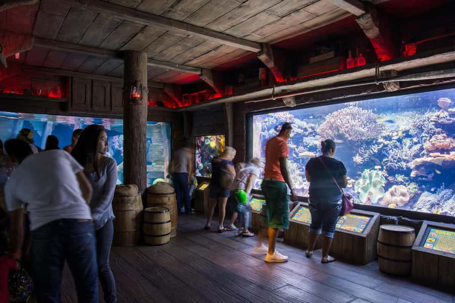 Houston: Downtown Aquarium All Day Pass - Following the eight themed aquarium areas