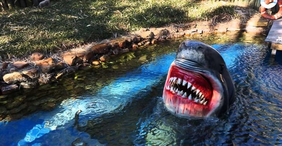 Houston Tour and Aquarium Ticket - Weather, comfort, and practical limits