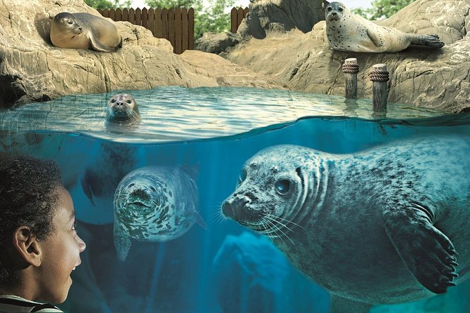 Hunstanton SEA LIFE Sanctuary General Admission Ticket - How much value do you get for $21.92?