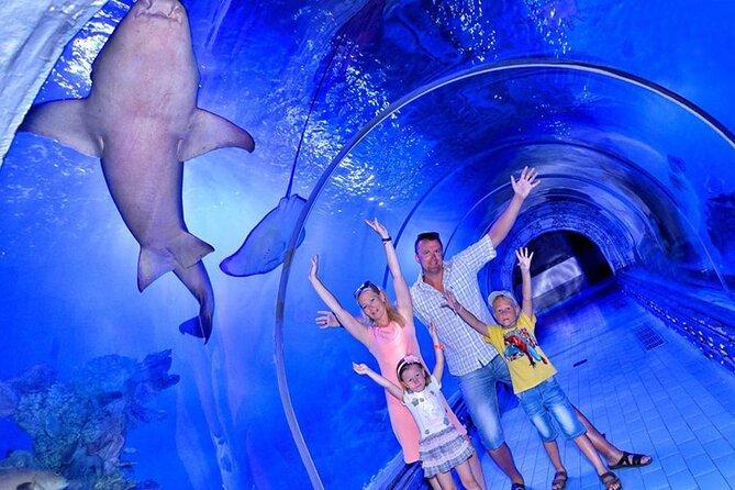 Hurghada Grand Aquarium Tour with Hotel Transfer – Hurghada - What your two hours inside the Hurghada aquarium look like