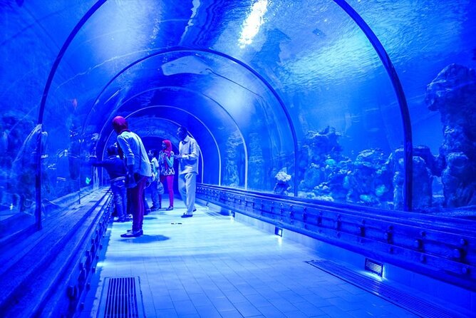 Hurghada Grand Aquarium Tour with Hotel Transfer – Hurghada - The transfer from your Hurghada hotel