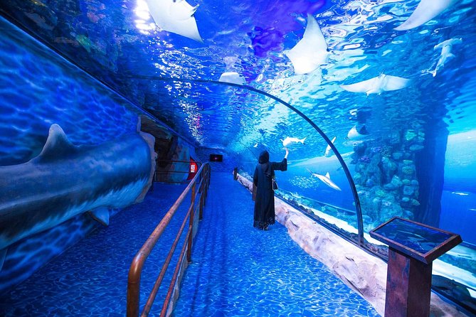 Hurghada Grand Aquarium Tour with Hotel Transfer – Hurghada - Timing, group size, and the pace of the visit