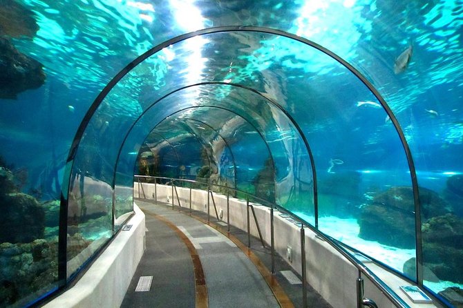Hurghada Grand Aquarium Tour with Hotel Transfer – Hurghada - What I like most about the experience