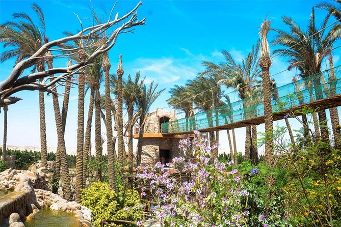 Hurghada Grand Aquarium Tour with Hotel Transfer – Hurghada - Why the air conditioning makes this a smart backup plan