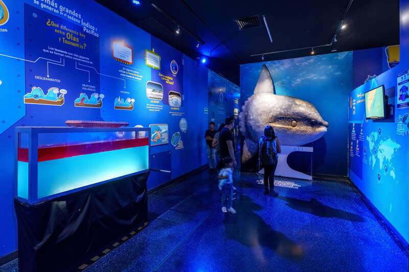 Inbursa Aquarium Entry Ticket with VR Option - What your $20 ticket actually covers