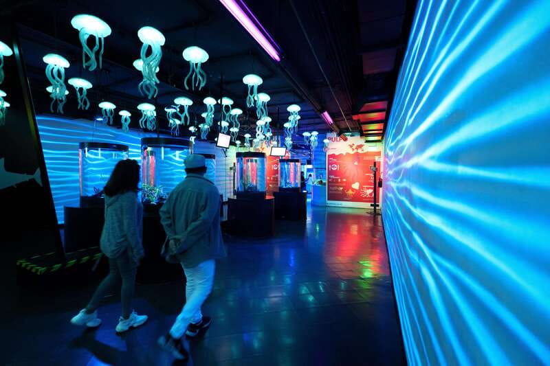 Inbursa Aquarium Entry Ticket with VR Option - Should you book Acuario Inbursa?