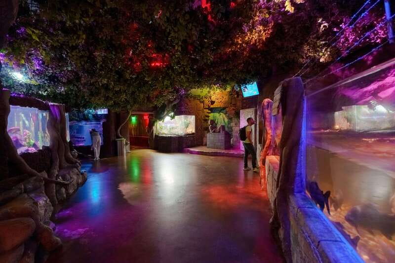 Inbursa Aquarium Entry Ticket with VR Option - Entering Acuario Inbursa through the priority entrance