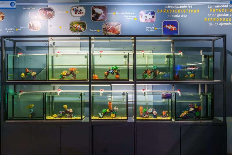 Inbursa Aquarium Entry Ticket with VR Option - Temporary exhibitions and changing content