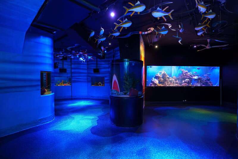 Inbursa Aquarium Entry Ticket with VR Option - The optional VR sea adventure