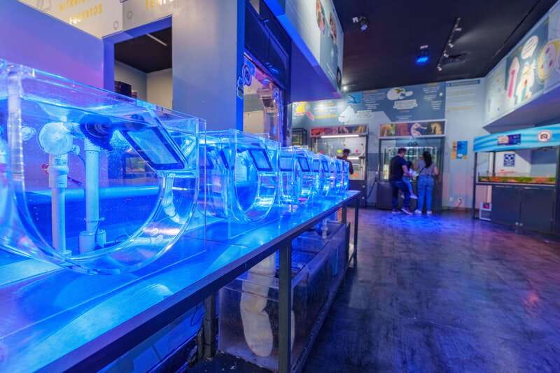 Inbursa Aquarium Entry Ticket with VR Option - How much time should you plan?