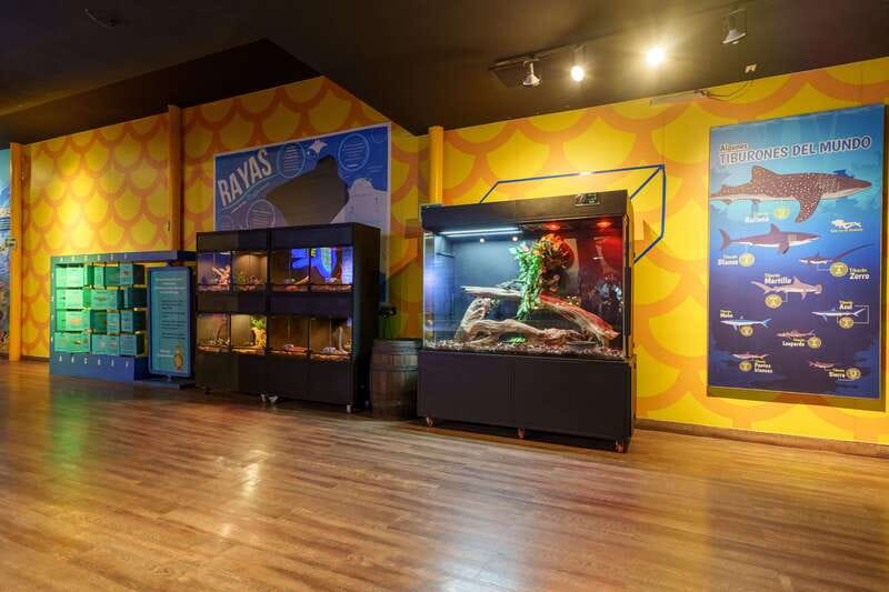 Inbursa Aquarium Entry Ticket with VR Option - Moving through the marine habitats