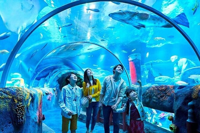 Istanbul Aquarium Admission with Hotel Transfers - Key points to know before booking