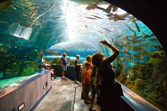 Istanbul Aquarium Admission with Hotel Transfers - Why Florya makes a good break from old Istanbul